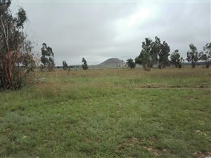 31.6 ha Land available in Krugersrus