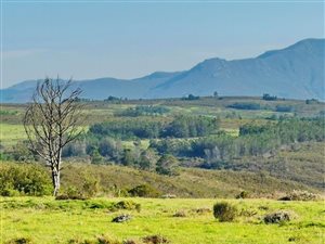 300 m² Land available in Gondwana Game Reserve