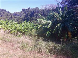 1914 m² Land available in Marburg