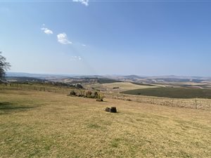 Farm in Dargle