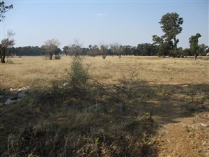 1 ha Land available in Martindale