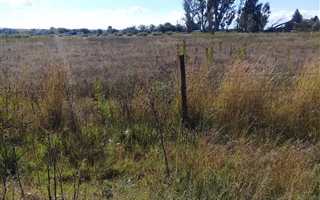 2.4 ha Land available in Rosashof