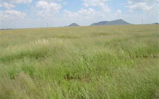 400 ha Farm in Bloemfontein Rural