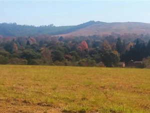 1010 m² Land available in Howick