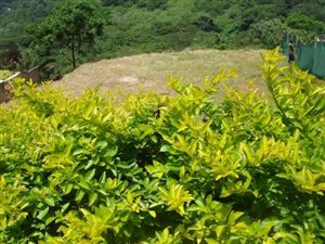 1103 m² Land available in Seaward Estates
