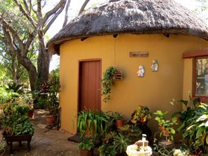 8.5 ha Farm in Modimole (Nylstroom)