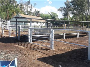 17 ha Farm in Honingnestkrans