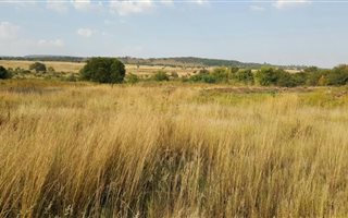 4.2 ha Smallholding in Faerie Glen