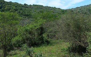 37.8 ha Farm in Umzinto