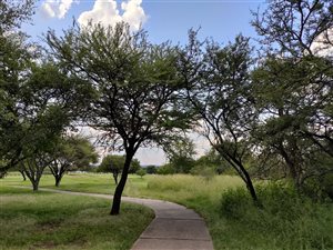 1000 m² Land available in Pebble Rock