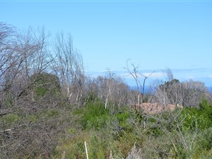 6223 m² Land available in Pezula Private Estate