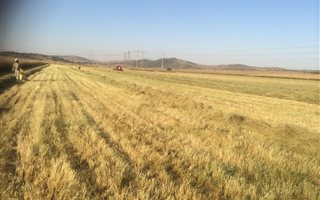 58 ha Farm in Henley on Klip