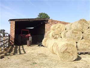 58 ha Farm in Henley on Klip