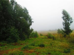 786 m² Land available in Dullstroom
