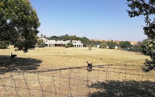 1.6 ha Farm in Modderfontein
