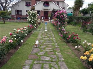 5 Bed House in Cathcart