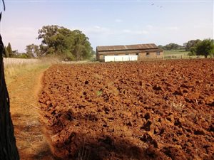 32.6 ha Farm in Benoni AH