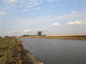 32.6 ha Farm in Benoni AH