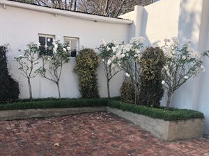 3 Bed House in Parktown North