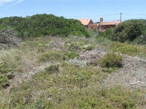 801 m² Land available in Reebok