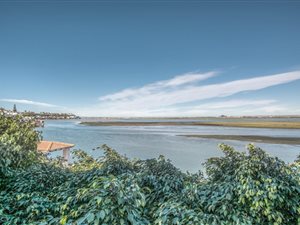 5 Bed House in Amsterdamhoek