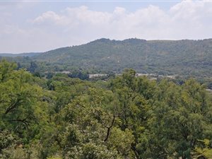 6 ha Land available in Lanseria and surrounds