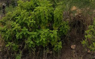 859 m² Land available in Green Pastures