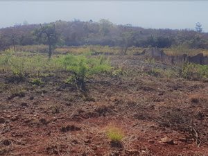 1500 m² Land available in Louis Trichardt