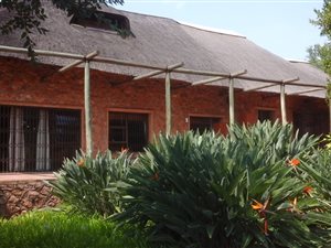 21 ha Farm in Groblersdal