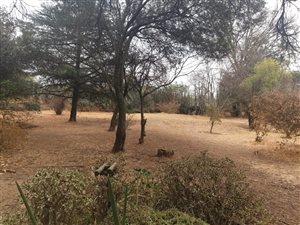 1.3 ha Land available in North Riding AH