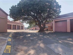 3 Bed Townhouse in Arboretum