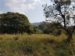 9 ha Land available in Syferfontein