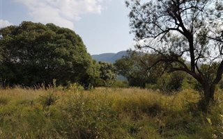 9 ha Land available in Syferfontein