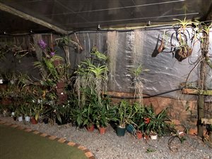 3 Bed House in Kloof
