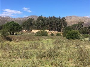 3220 m² Land available in Sir Lowrys and surrounds