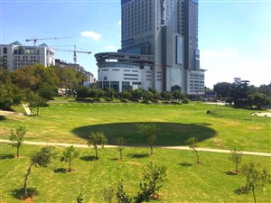 2 Bed Apartment in Sandton CBD