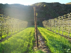 103 ha Farm in Calitzdorp