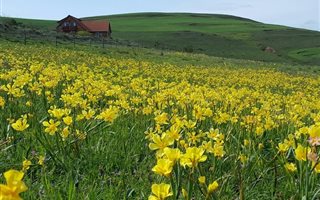 66 ha Farm in Villiersdorp
