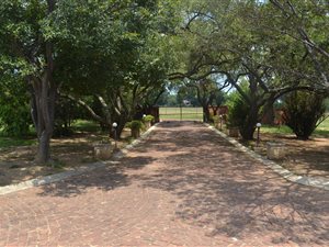 2 ha Farm in Mnandi AH