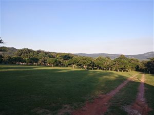 21 ha Farm in Rocky Drift