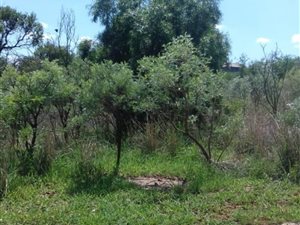 925 m² Land available in Hartbeesfontein