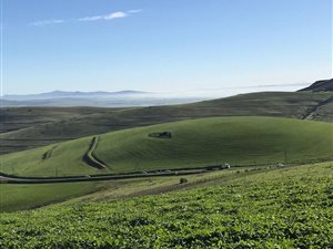 4 ha Farm in Durbanville
