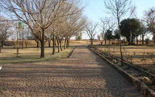 22 ha Farm in Bapsfontein