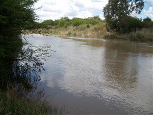10 ha Land available in Pellissier