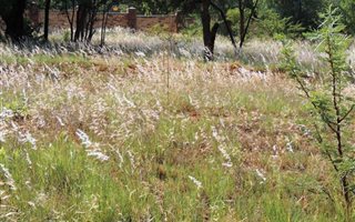 1345 m² Land available in Buffelspoort