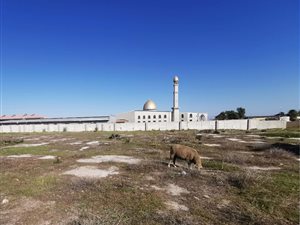 8078 m² Land available in Philippi