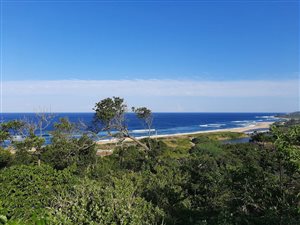 1098 m² Land available in Kelso