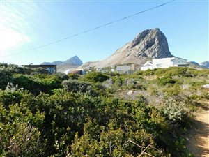 1317 m² Land available in Rooi Els