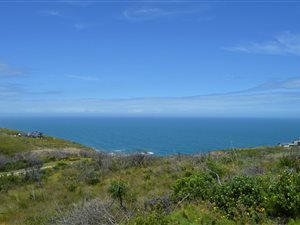 1.1 ha Land available in Pezula Private Estate
