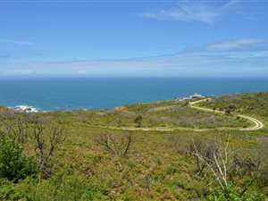 1.1 ha Land available in Pezula Private Estate